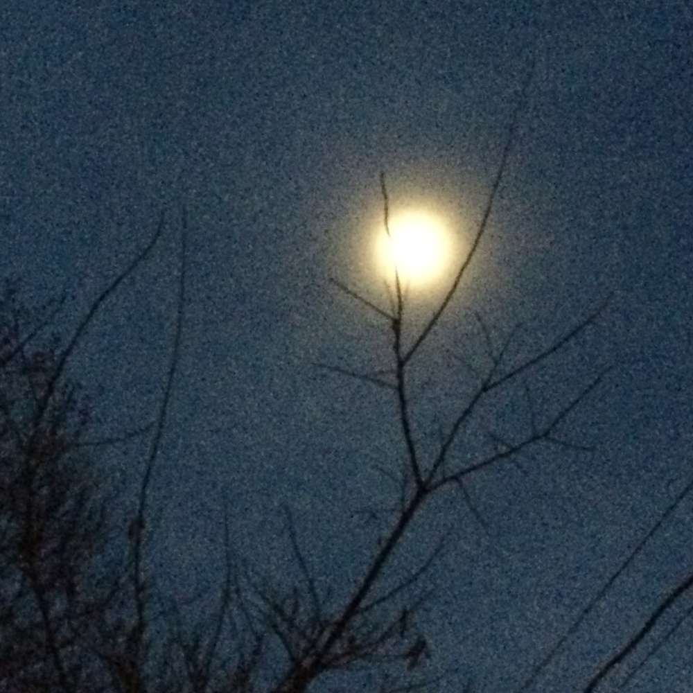 Meet your Posher, Anwen